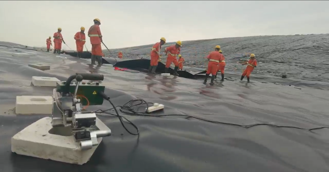 QQ截圖20220819182650